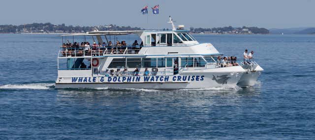 Escursione a Port Stephens + Avvistamento di delfini