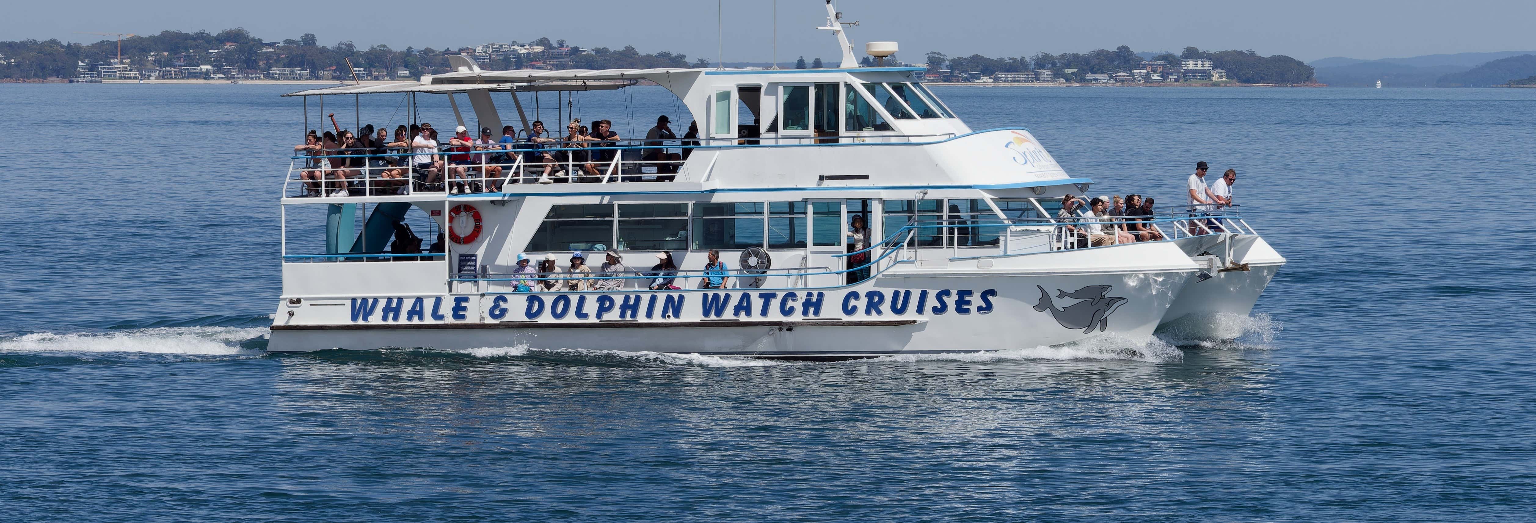 Escursione a Port Stephens + Avvistamento di delfini