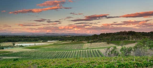 Tour dei vigneti e delle cantine della Hunter Valley