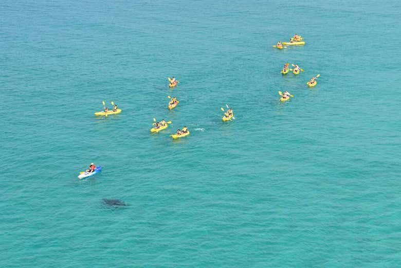 Imagen 6