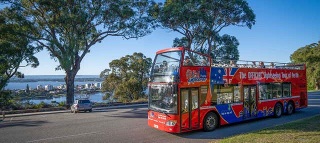 Autobus turistico di Perth