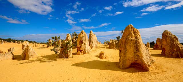 Escursione al Deserto dei Pinnacoli