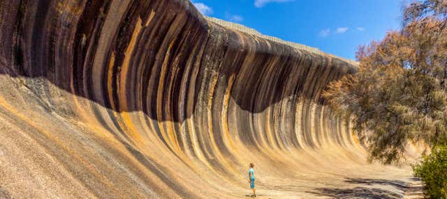 Escursione a Wave Rock e York
