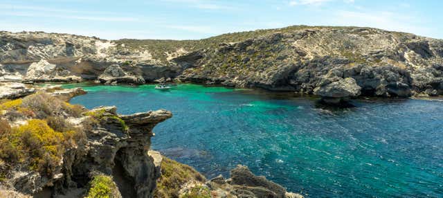 Traghetto per Rottnest Island