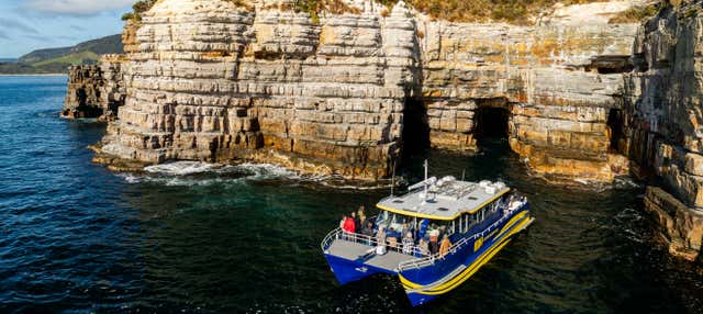 Giro in barca a Cape Raoul