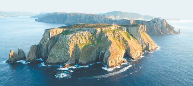 Giro in barca all'isola Tasman