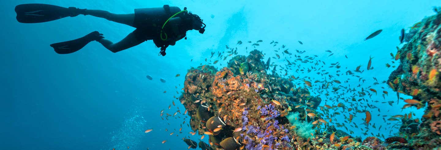 Immersione nella grande barriera corallina