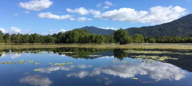 Escursione a Cattana e alle cascate del Barron + Skyrail Rainforest