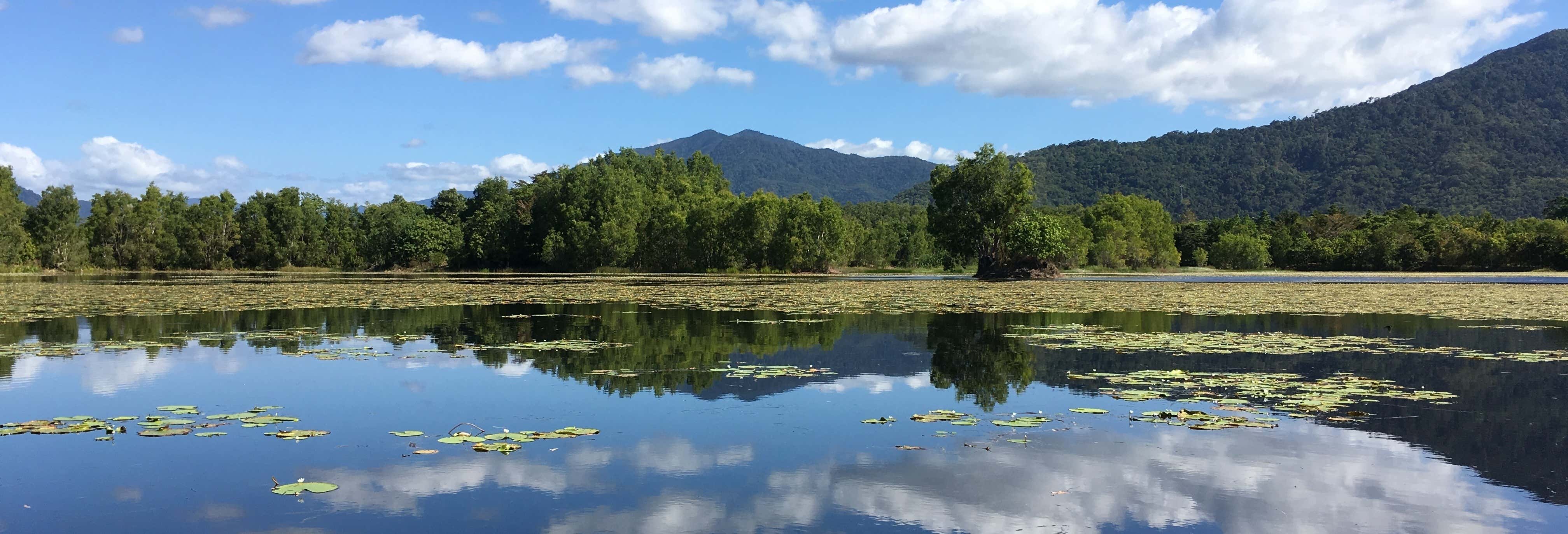 Escursione a Cattana e alle cascate del Barron + Skyrail Rainforest