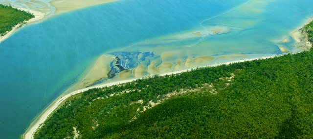 Escursione a Daintree, Mossman Gorge e Cape Tribulation