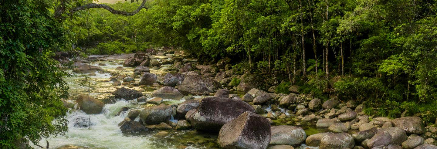Excursión a Daintree y Cooya Beach