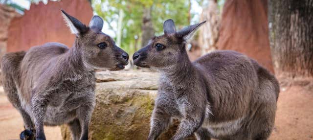 Biglietti per il WILD LIFE Sydney