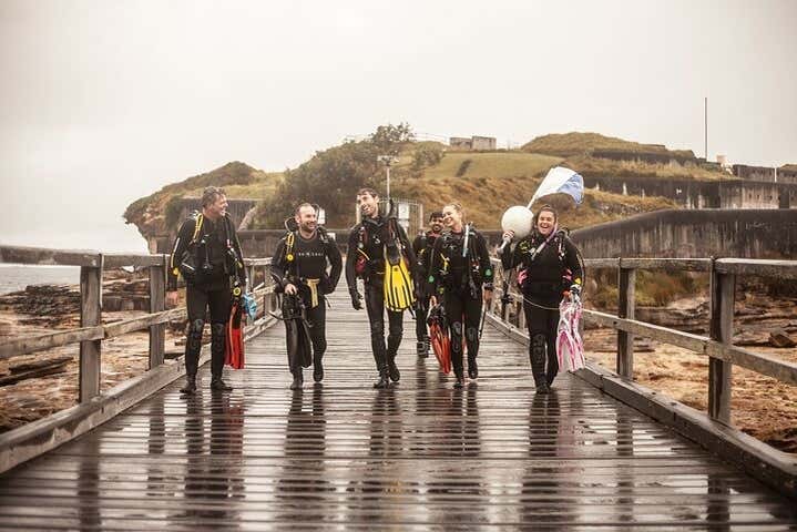 Shark Scuba Diving in Bushrangers Bay