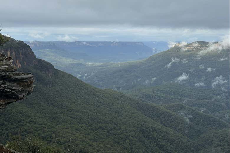 Imagen 5