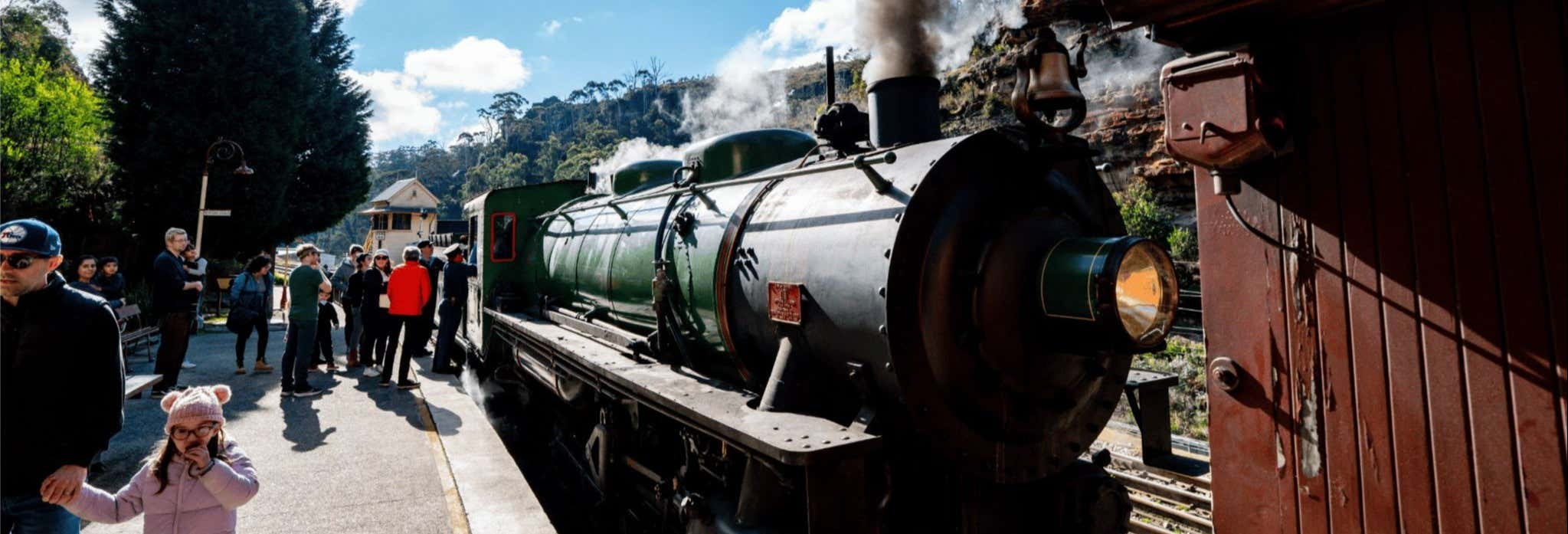 Blue Mountains e Scenic World + Treno Zig Zag