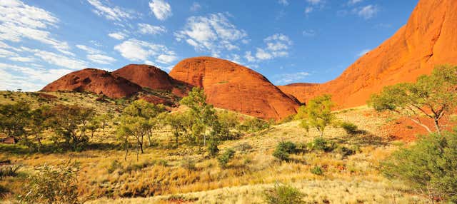 Noleggio bici a Uluru-Kata Tjuta