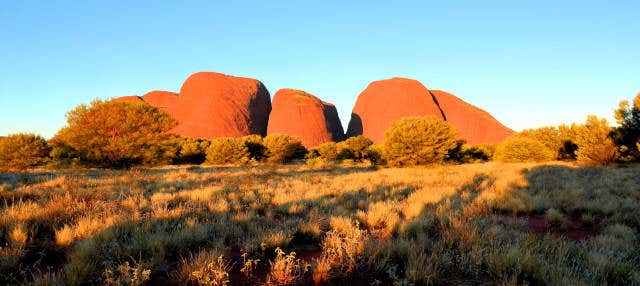 Escursione al Kata Tjuta e alla Valle dei Venti