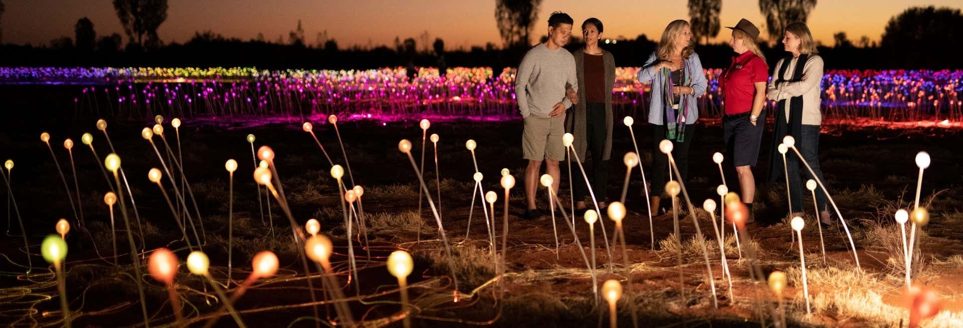 Field of Light al amanecer