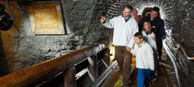 Escursione alle miniere di sale di Hallein