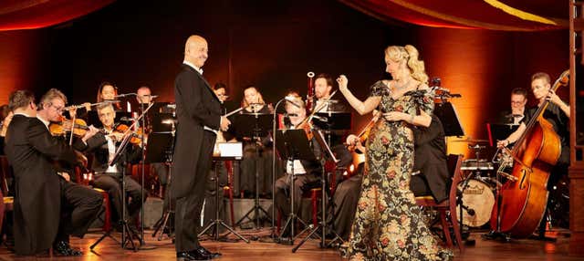 Concerto di Strauss con cena al Prater