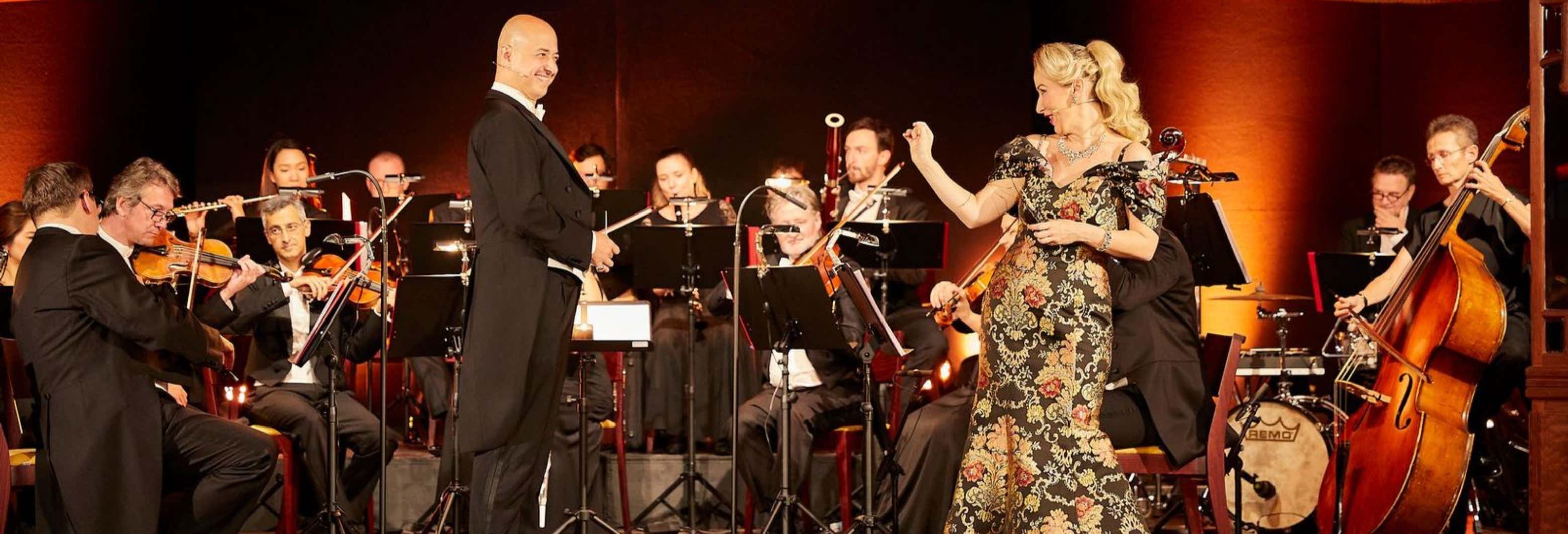 Concerto di Strauss con cena al Prater