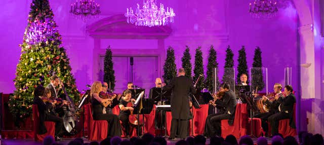 Mercatino di Natale di Schönbrunn + Visita al Palazzo + Concerto di Natale