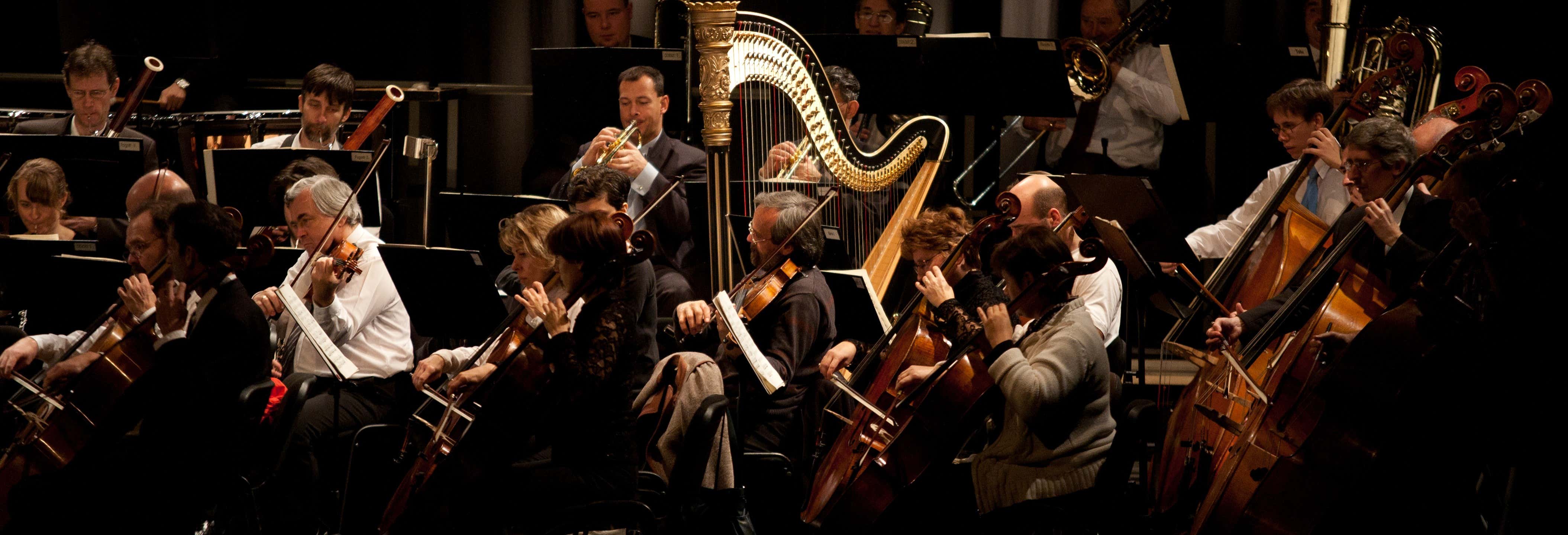 Palácio Schönbrunn com jantar e concerto