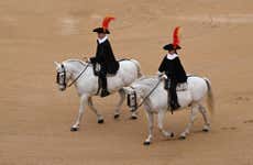 Spanish Riding School Guided Tour