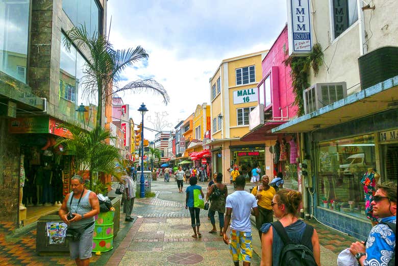 Imagen 7