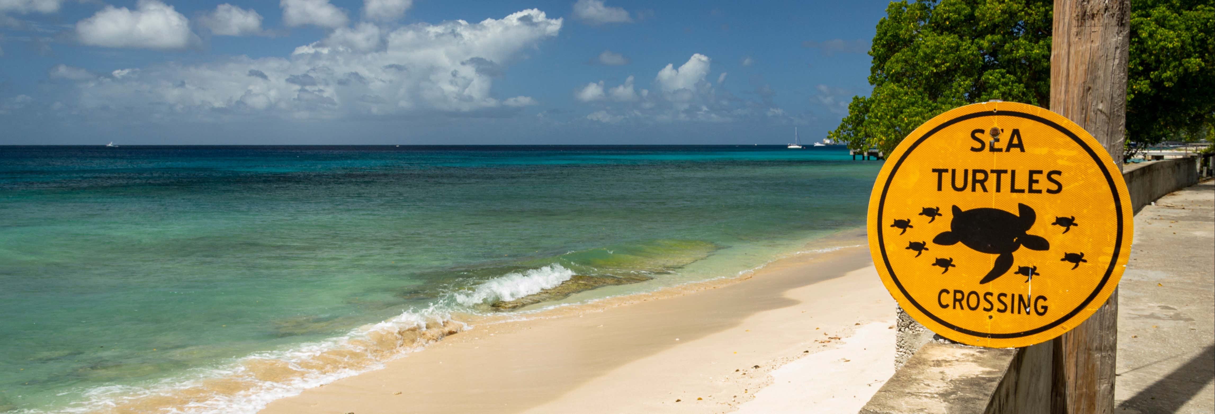 Visita guidata di Speightstown