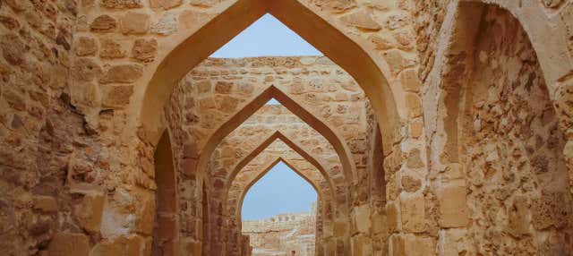 Escursione privata a Barbar e Saar + Museo del Bahrein