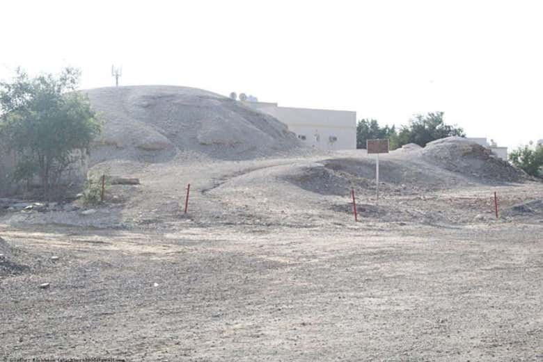 Imagen 4