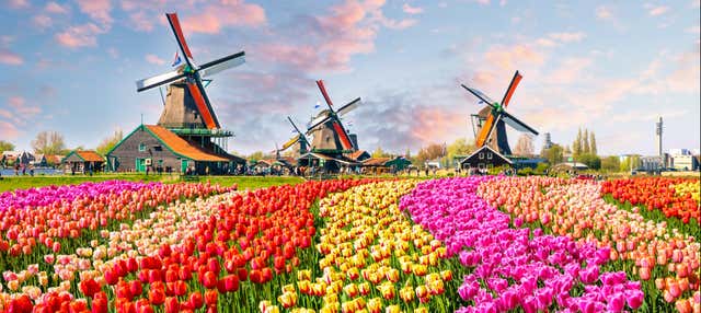 Escursione a Keukenhof e Delft
