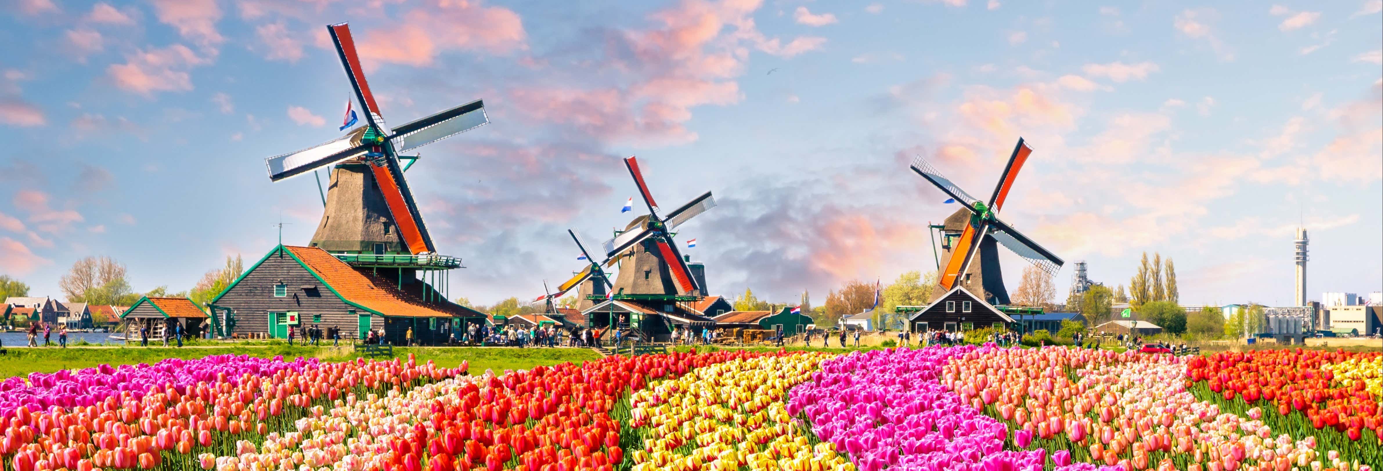 Keukenhof & Delft Day Trip