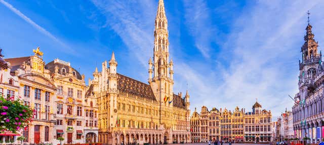 Tour della birra belga