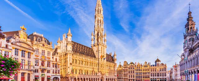 Dégustation de bière belge dans Bruxelles