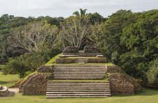 Day Trip to Altun Ha + Tubing in Caves Branch