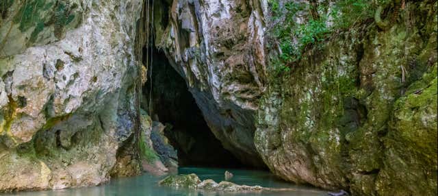 Escursione a Barton Creek