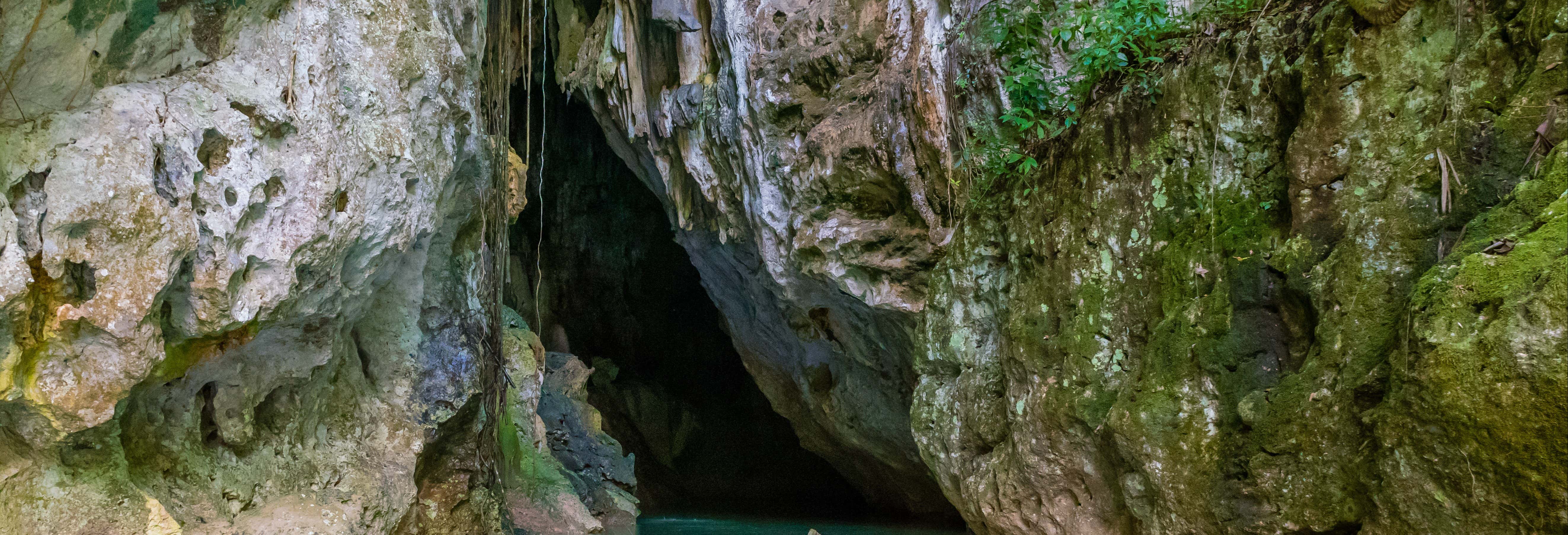 Escursione a Barton Creek