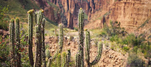 Escursione alla Valle de las Ánimas e al canyon di Palca 
