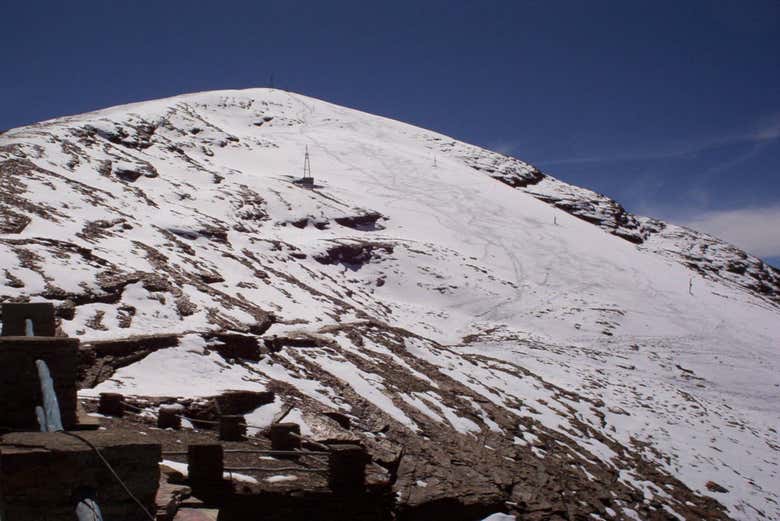 Imagen 5