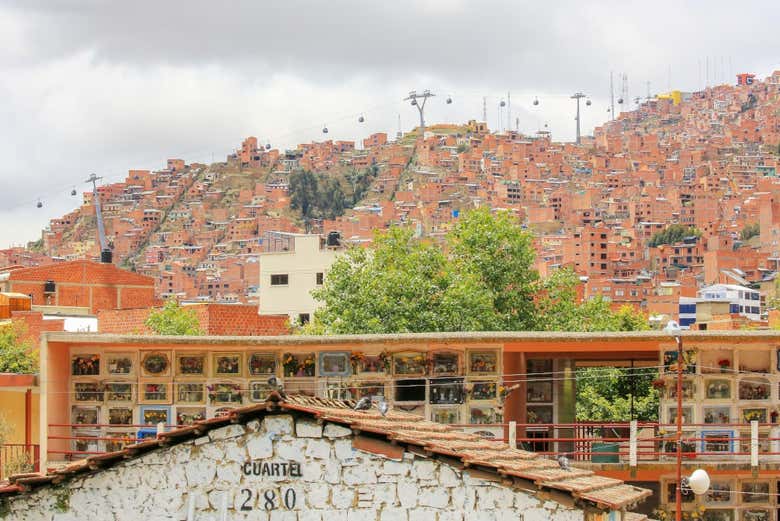Imagen 11