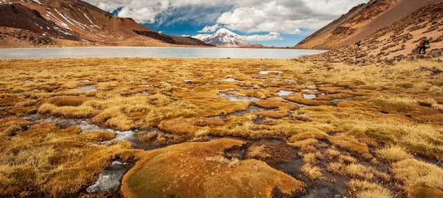 Tour de 2 días por el Parque Nacional Sajama