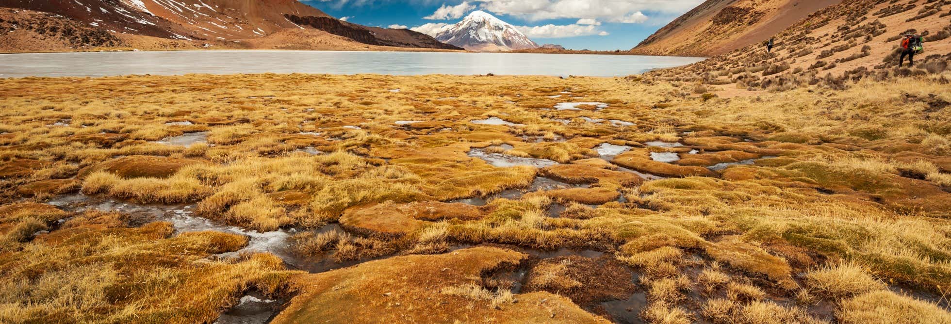 Tour de 2 días por el Parque Nacional Sajama