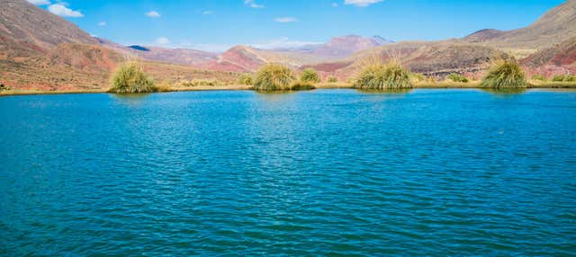 Escursione a Ojo del Inca