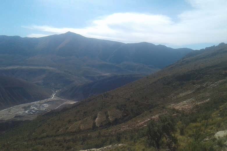 Imagen 8