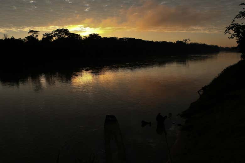 Imagen 4