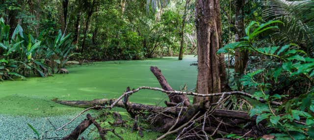 Parco Nazionale Madidi e Pampas del Yacuma in 5 giorni