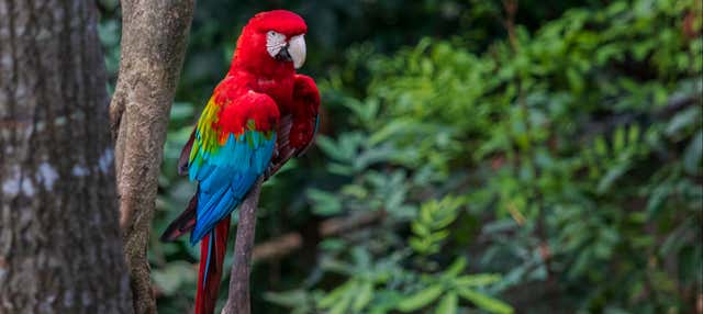 Escursione al Biocentro Güembé