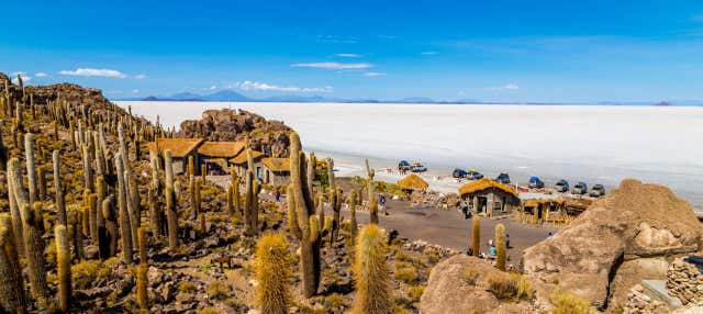 Escursione al Salar de Uyuni in autobus notturno